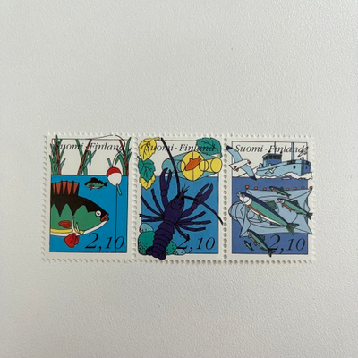 Kalastus 1991