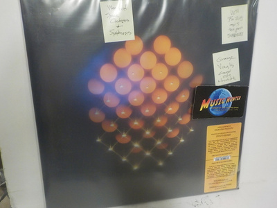 WASTE OF SPACE ORCHESTRA - SYNTHEOSIS UUSI - 2 LP