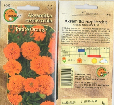 Ryhmäsamettikukka "Petite Orange" siemenet #
