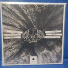 OBNOXIOUS YOUTH - MOUTH SEWN SHUT M-/M- FIN 2020 LP - pikkukuva 2