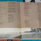 MIKKO ALATALO ~ Maalaispoika Oon ~ LP orig. Love Records - pikkukuva 3