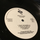 Depeche Mode Violator  Swe  Lp 1990 Mute inn - pikkukuva 5