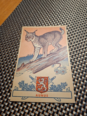Z15 Aunus A.Tilgman