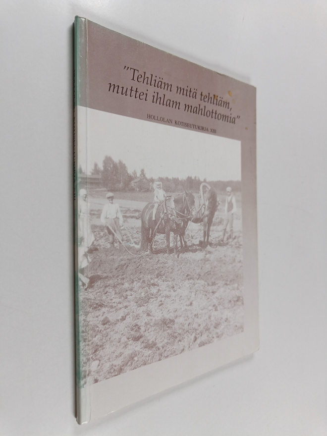 Hollolan kotiseutukirja XIII : "Tehliäm mitä tehliäm, mut...