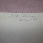 Dawid Liwingstone Missionär och Afrikaforskare 1890 - pikkukuva 4
