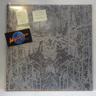 THE TRUE WERWOLF - DEVIL CRISIS UUSI FIN 2020 LP - pikkukuva 1