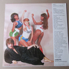 Cerrone : Love In C Minor (RARE vinyyli 1976, cheesecake) - pikkukuva 3