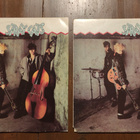 Stray Cats rockabilly levys - pikkukuva 1