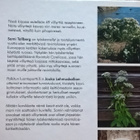 Villiyrttikeittokirja - Sami Tallberg - pikkukuva 3