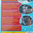 KARVAKUONOT DVD - pikkukuva 2