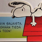 kortti ** Tenavat Ressu hymyilee - erilaisia taittokortteja - pikkukuva 4