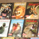 32 kpl: paketti eläin-dvd:t + kirjaset - pikkukuva 4