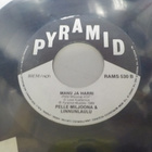 PELLE MILJOONA & LINNUNLAULU - DAZVIDANIA AFGANISTAN 7'' - pikkukuva 2