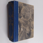 Selma Lagerlöf : Gösta Berlingin taru - pikkukuva 1