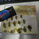 KILPI - LASKE KUOLLEET JA RUKOILE CD SINGLE - pikkukuva 1