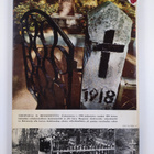 Ennen ja jälkeen 1918 - pikkukuva 2