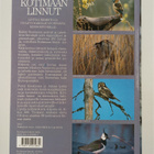 Pertti Koskimies : Kotimaan linnut - pikkukuva 2