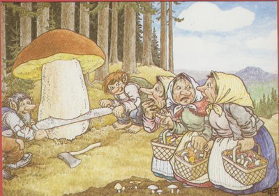 Rolf Lidberg Svampplockning NR 3
