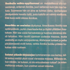 Salatut Elämät- Annika ja Amerikan Unelma (Ikonen,kirja) - pikkukuva 3