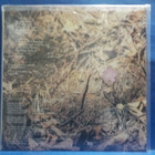 JUKKA GUSTAVSON - BLUESION - FIN - 92 EX+/EX LP - pikkukuva 2