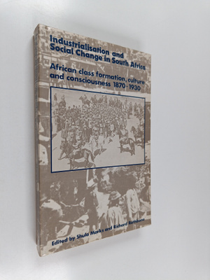 Industrialisation and social change in South Africa : Afr...