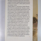Joanna Trollope : Jalokivikaupunki - pikkukuva 2
