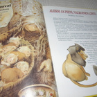 Juhlakirja 1987-1997 - pikkukuva 4