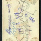 Keräilykuva - Ann Blyth Serie B NO 42 UN.INT. - pikkukuva 2
