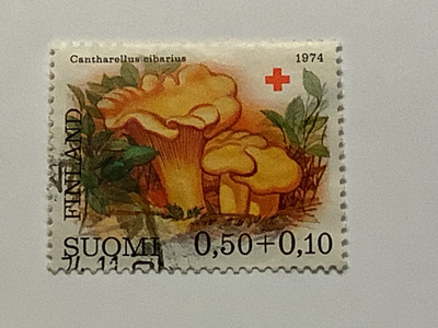 753 / 1974 SPR sarja sieniä Keltavahvero o leimattu