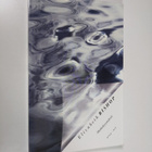 Elizabeth Bishop : Matkakysymyksiä - pikkukuva 1