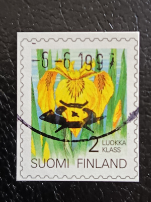 -93 Kurjenmiekka Lo