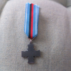 8--Divisioonan Ristin Pienoiskunniamerkki - pikkukuva 2