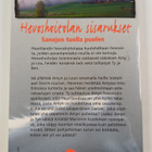 Lauren Brooke : Sanojen tuolla puolen - pikkukuva 2