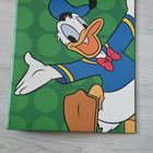WALT DISNEY KANSIO - pikkukuva 1