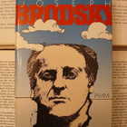 Joseph Brodsky - Katastrofeja ilmassa (sid.) - pikkukuva 1