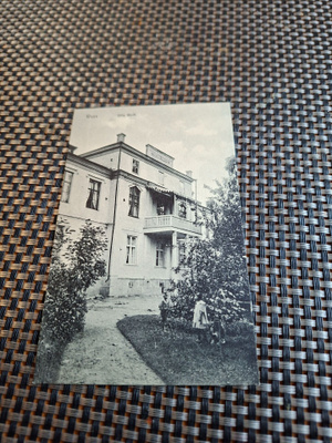A Vaasa Villa Wolff
