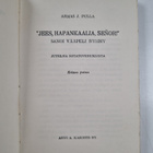 Armas J. Pulla : "Jees, hapankaalia, senor!" sanoi vääpel... - pikkukuva 2