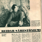 Hopeapeili n:o 31 1968 Kecia. Tuula. Vallila. Korkeasaari. - pikkukuva 4
