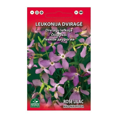 Sarvileukoija "Rose Lilac" - siemenet # #