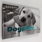 Christine Montaquila : Dogplay - The Canine Guide to Bein... - pikkukuva 1