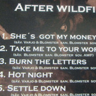 After Wildfire: Lonely Ride for Nothing CD-EP - pikkukuva 3
