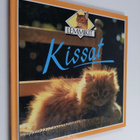 Kate Petty : Kissat - pikkukuva 1