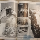 Suomen Kuvalehden 70-vuotis juhlajulkaisu - Kuohuvat vuodet - pikkukuva 2
