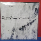 OPHIDIAN - ABANDON / END THE EARTH EX+/EX- 12" HOL 2010 LP - pikkukuva 2
