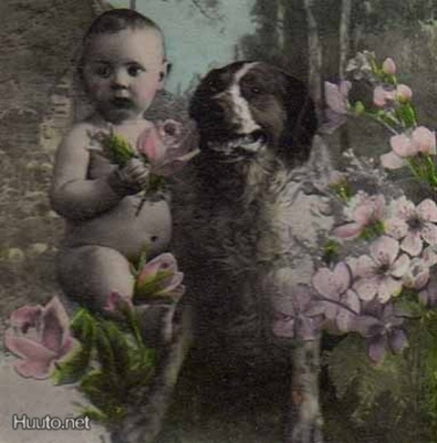 LAPSI / Vauva ja berninpaimenkoira kukkien keskellä. 1900-l.