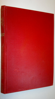 Amanda Kerfstedt : Bränningar : verklighetsbilder (1899)