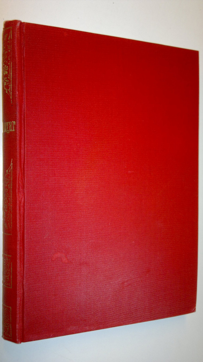 Amanda Kerfstedt : Bränningar : verklighetsbilder (1899)