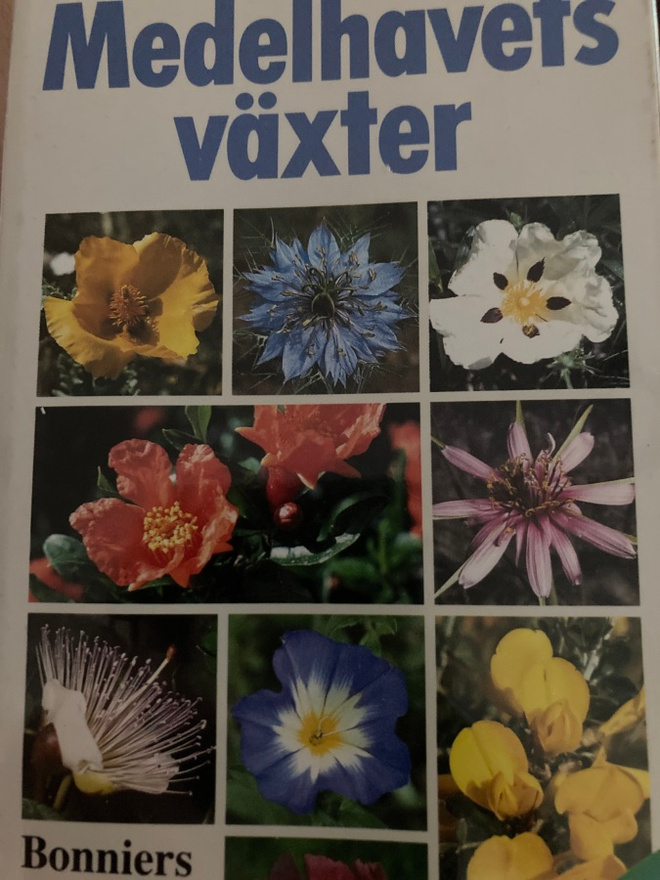 MEDELHAVETS VÄXTER