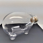 Valto Kokko Napsu karahvi 65 cl, Iittala - pikkukuva 5