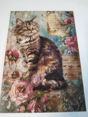 Kissa kortti,kulkematon.